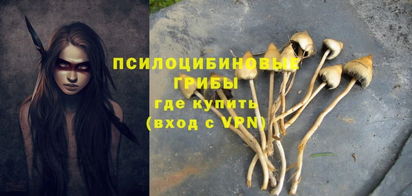 ECSTASY Аркадак