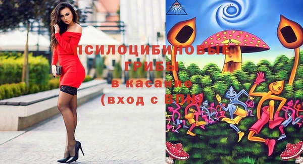твердый Армянск