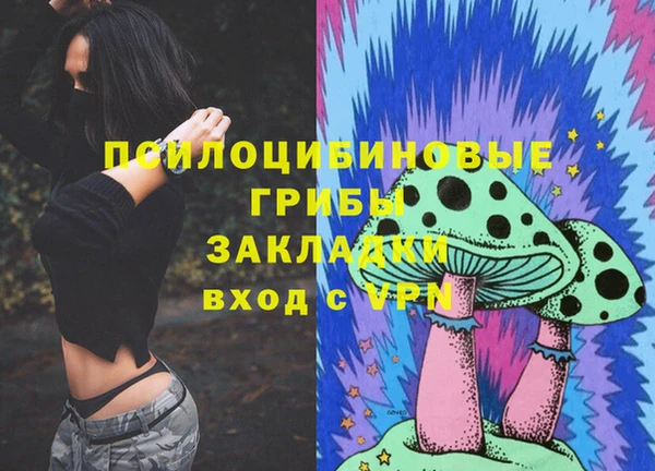 прущие крисы Арсеньев