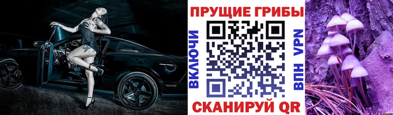 продажа наркотиков KRAKEN ССЫЛКА Псилоцибиновые грибы GOLDEN TEACHER Суровикино